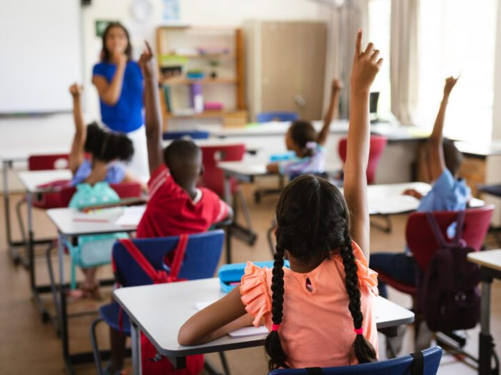 Se a educação sozinha não transforma a sociedade: análise e impacto