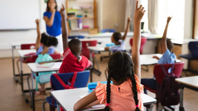 Se a educação sozinha não transforma a sociedade: análise e impacto